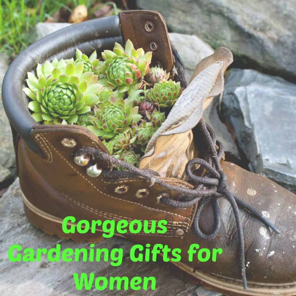 Best Gardening Gifts for Women