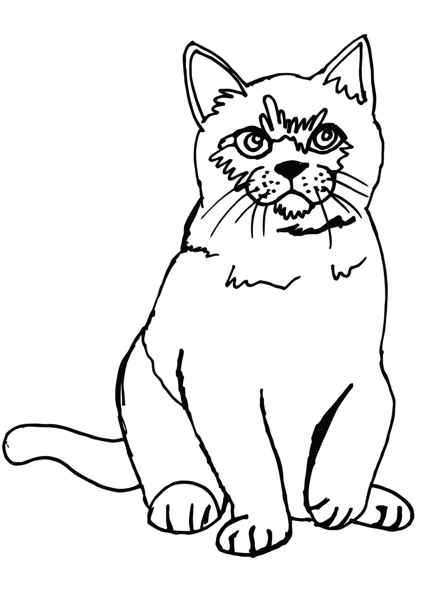 free coloring pages girls