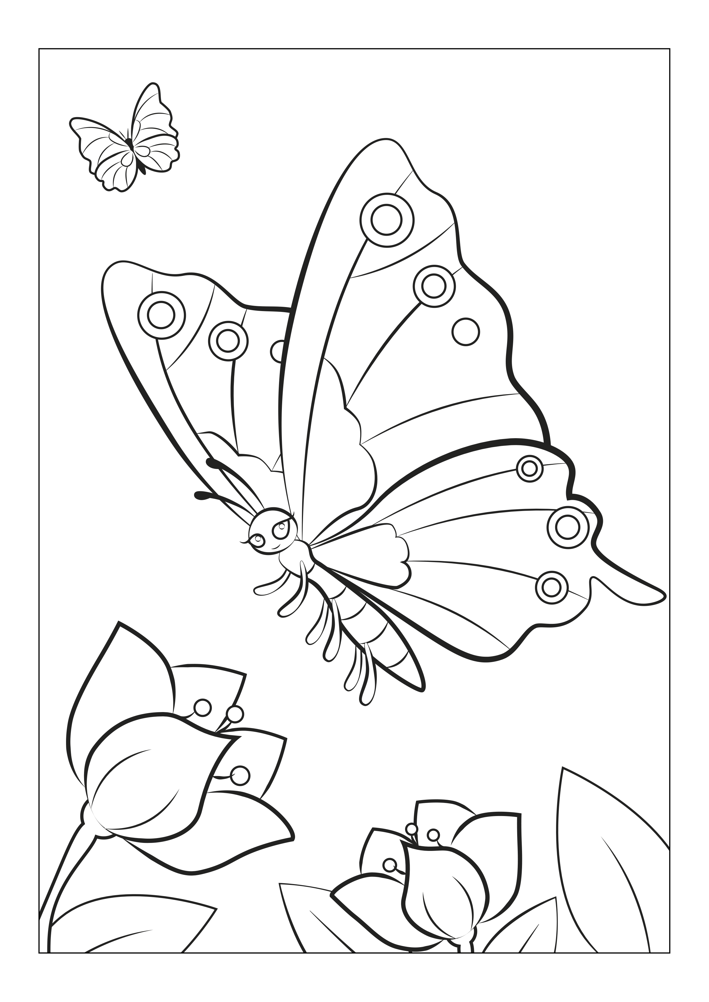 butterfly prints