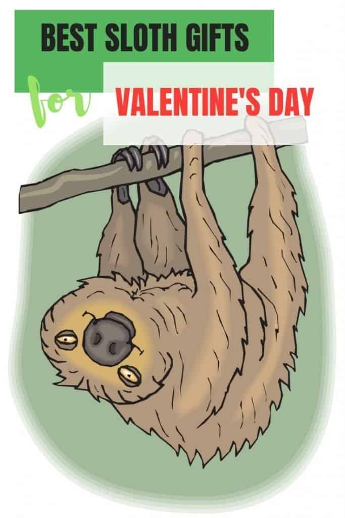 BEST SLOTH GIFTS