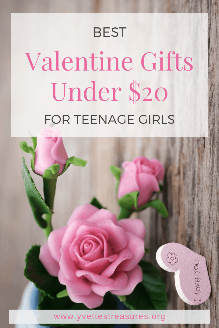 great gifts under 20 dollars