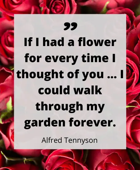 Best Valentine's day quotes