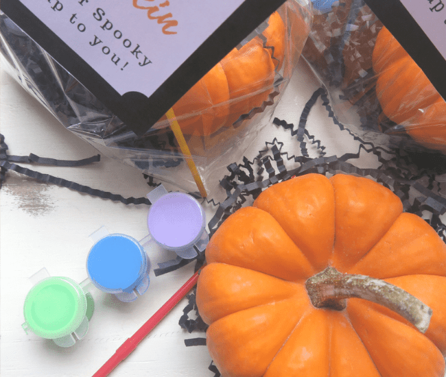 DIY Paint A Pumpkin Kit