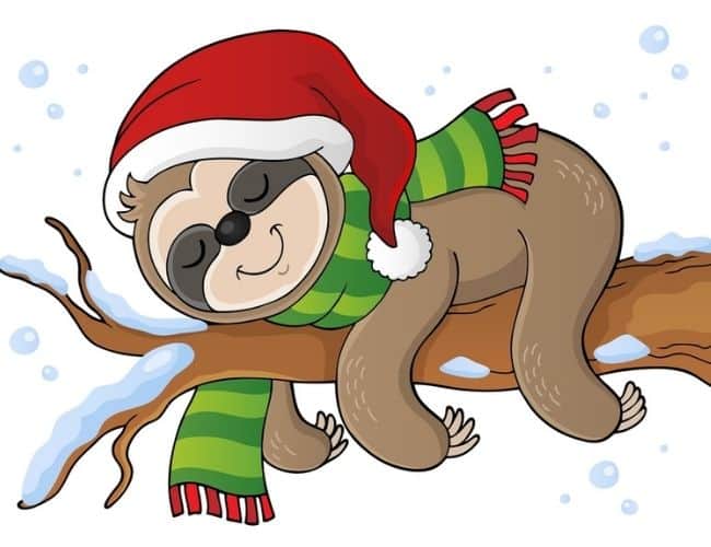Christmas Birthday I Love Sloths Keyring Gift Stocking Filler