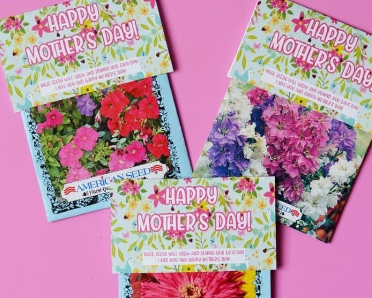 DIY Mother's Day Seed Gift