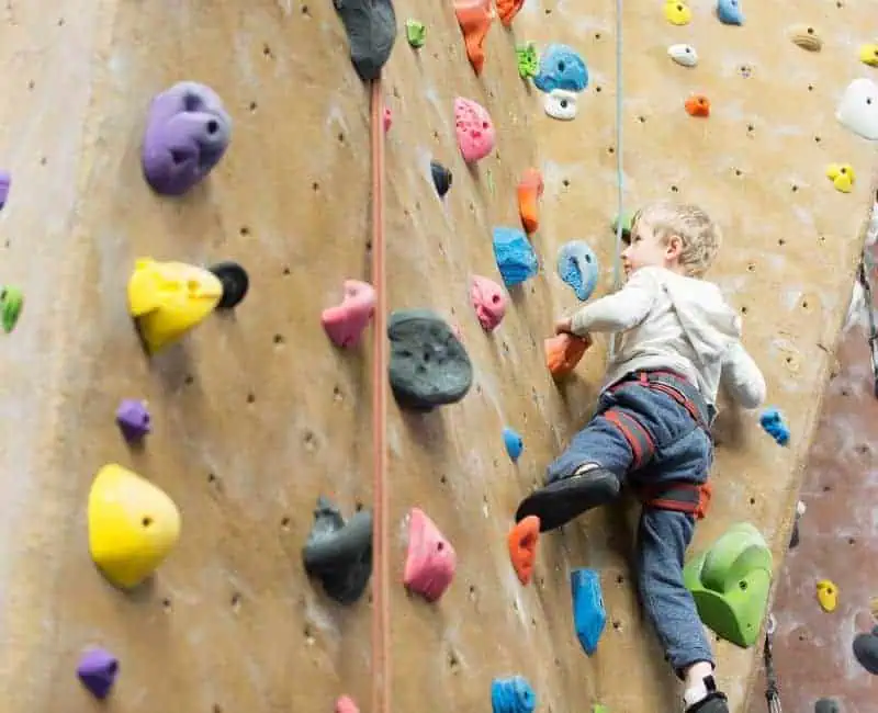 kids rock climbing