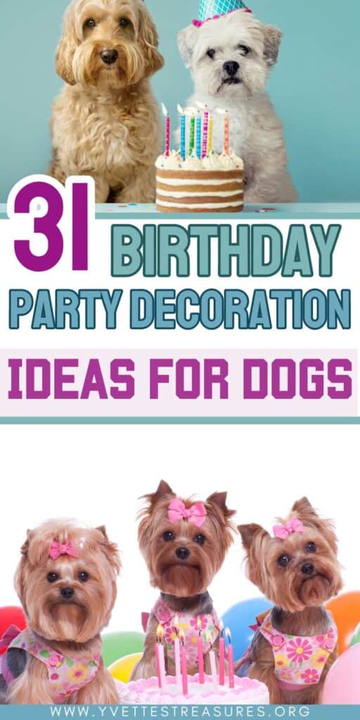 BIRTHDAY PARTY IDEAS DECORATION