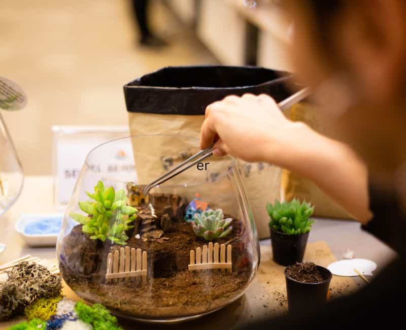 DIY Terrarium Kit For Kids