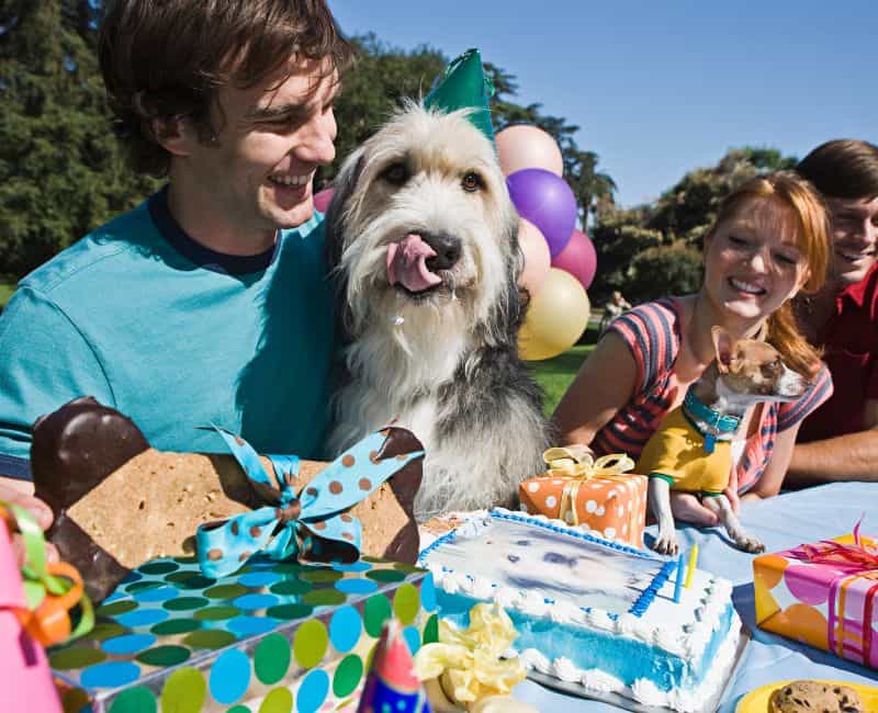 Dog Birthday Party Decoration Ideas
