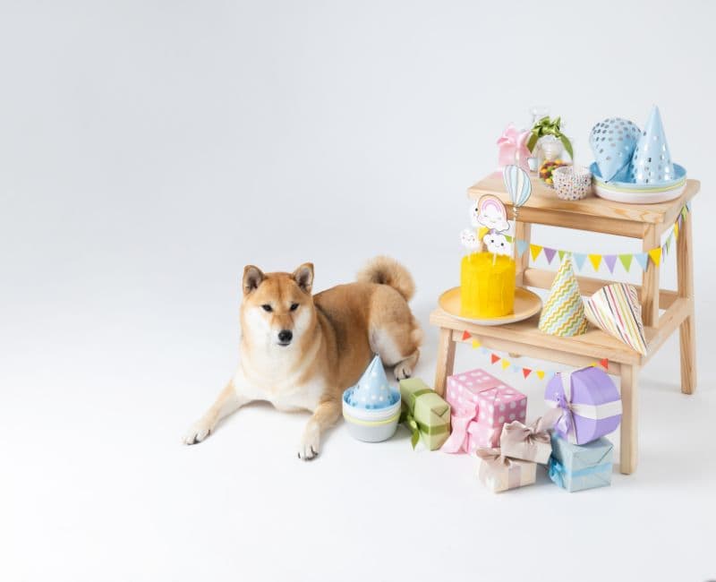 Party Favors and Gifts