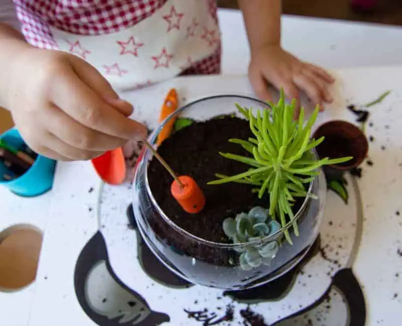 Terrarium Kit For Kids