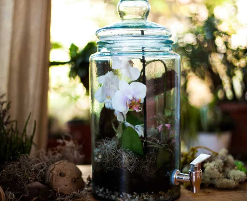 indoor glass planter