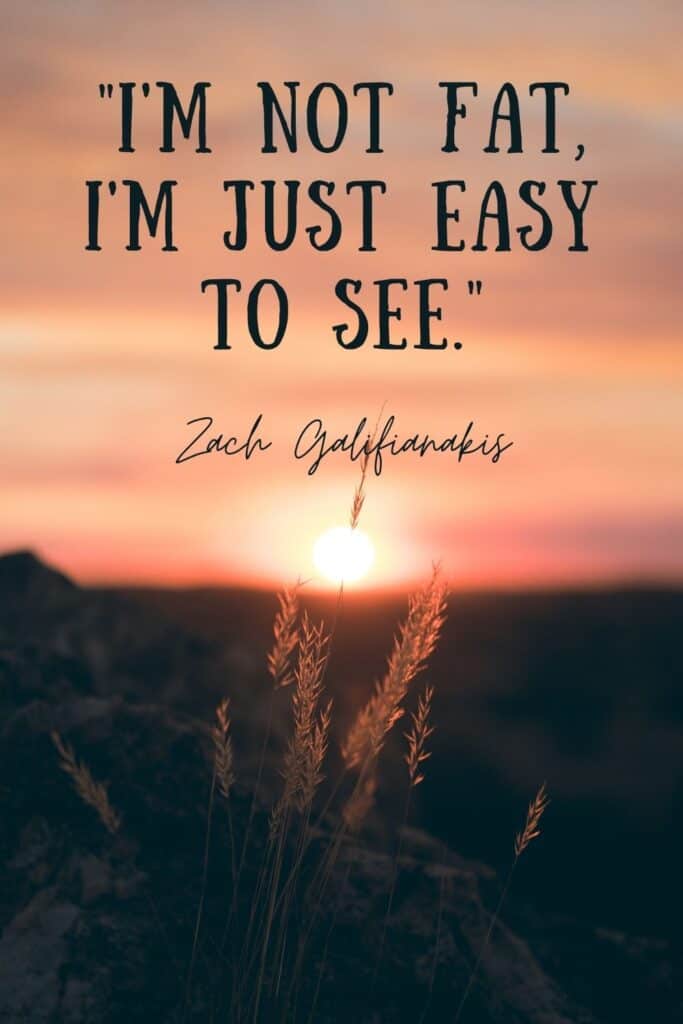 I'm not fat, I'm just easy to see - funny quote