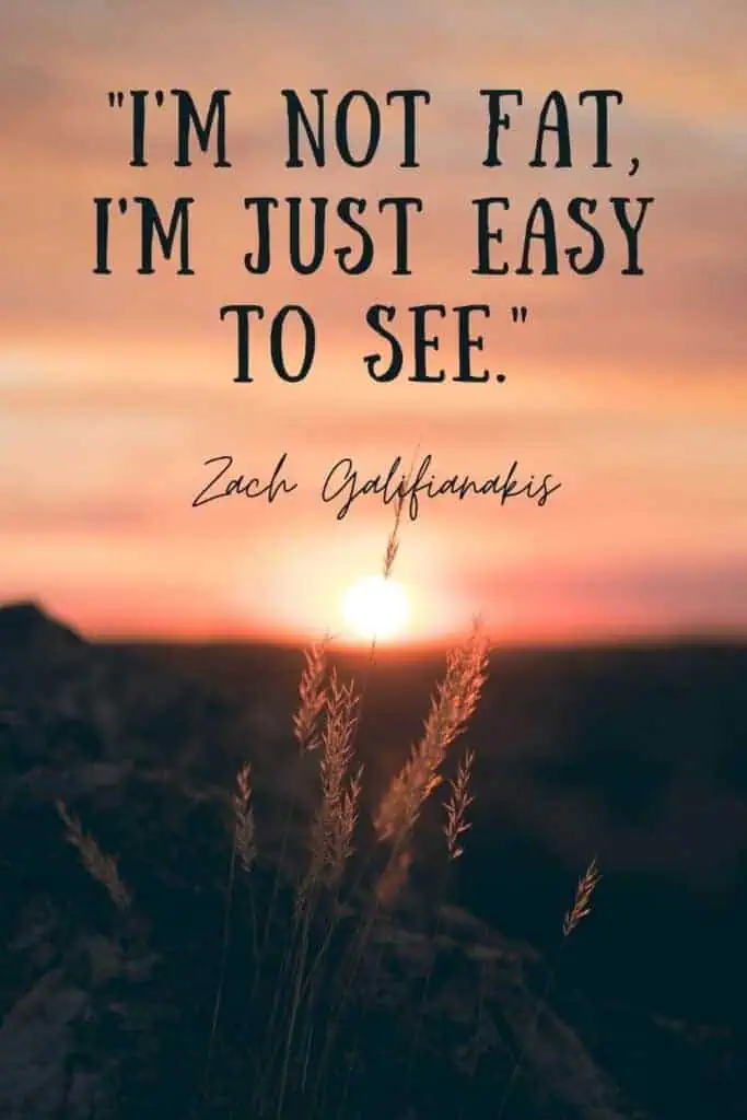 I'm not fat, I'm just easy to see - funny quote
