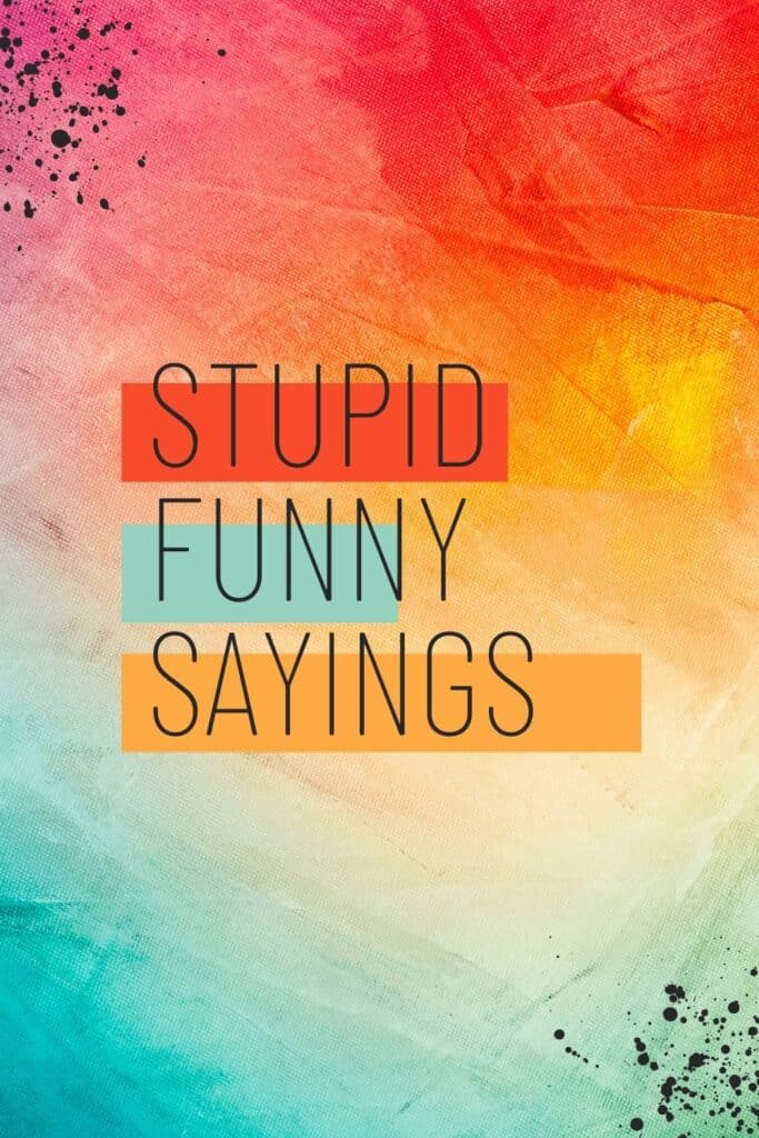 funny stupid sayings